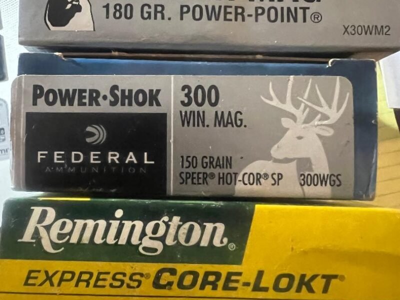 300 WIN MAG FOR SALE 150 GR. AND 180 GR. $43