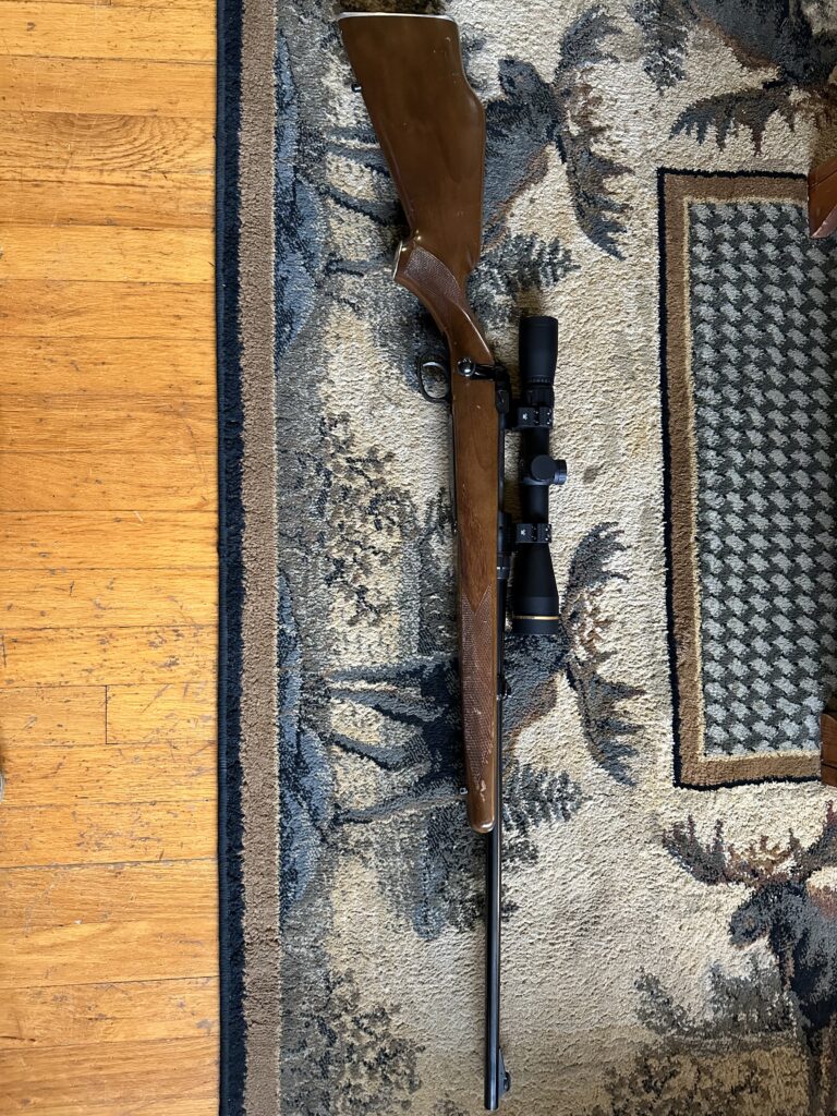 Savage 110 .243 with Leupold