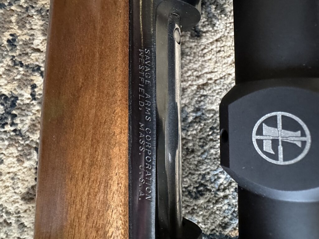 Savage 110 .243 with Leupold