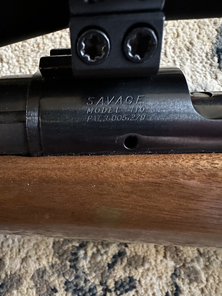 Savage 110 .243 with Leupold