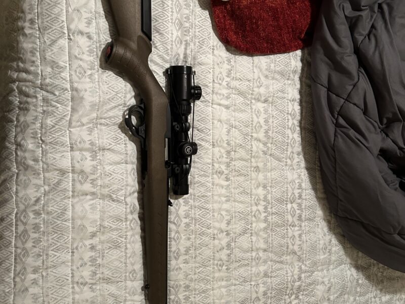 Ruger 10 22 Collector Series - My Gun Trader