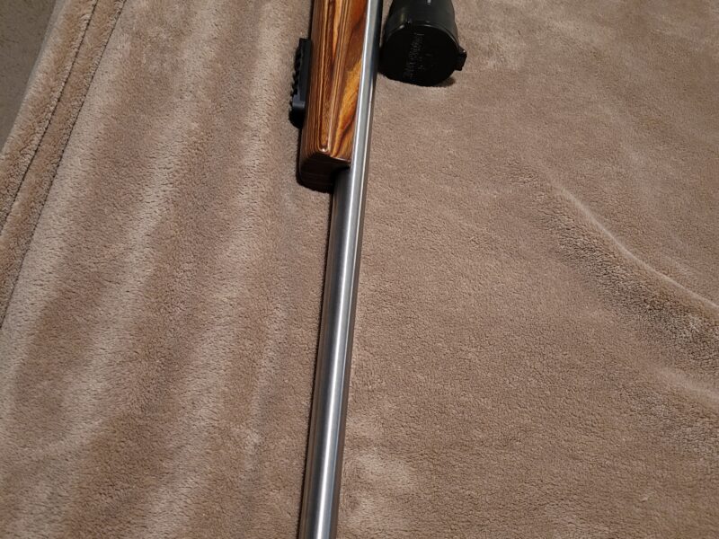 Stevens 200(savage model 10) 223