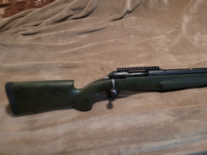 Savage hog hunter in B&C stock 308