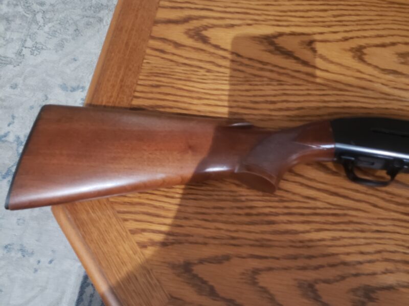 Winchester Model 50 Semiautomatic 12ga