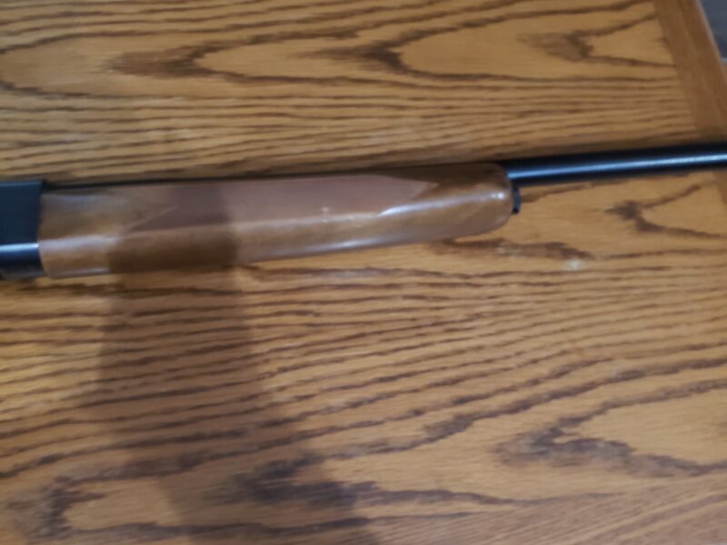 Winchester Model 50 Semiautomatic 12ga