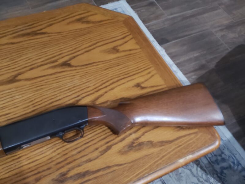 Winchester Model 50 Semiautomatic 12ga