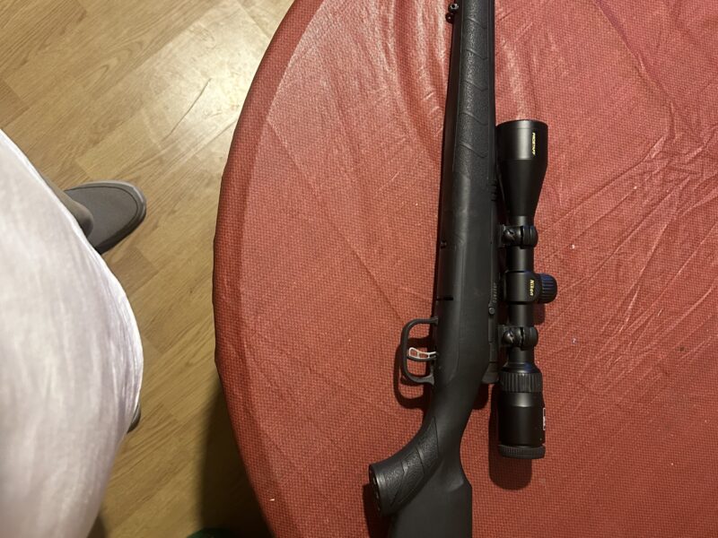 Savage 17wsm