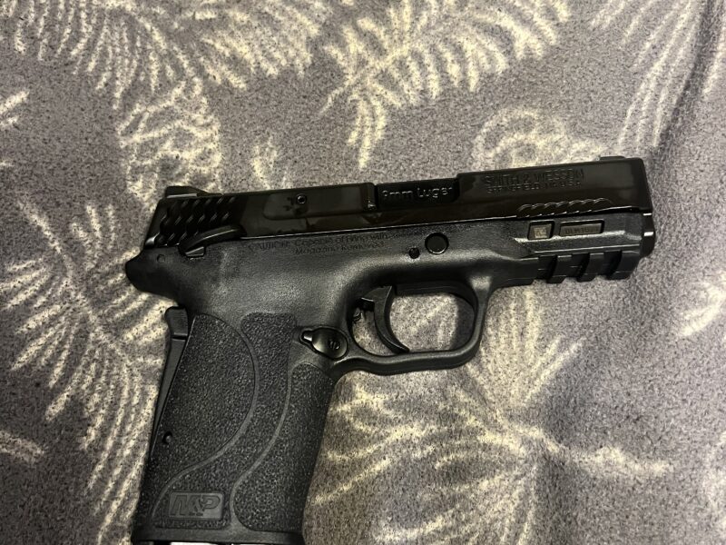 Smith and Wesson M&P SHIELD EZ