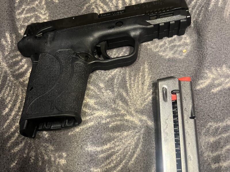 Smith and Wesson M&P SHIELD EZ