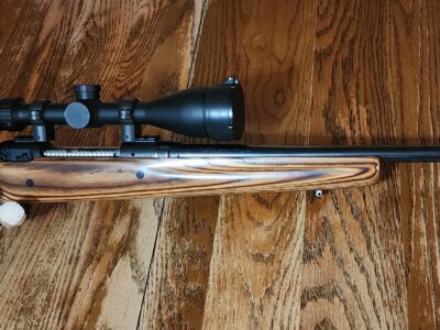 Savage 110 Boyds stock 30-06