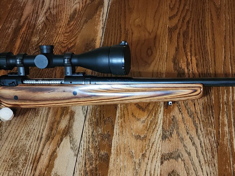 Savage 110 Boyds stock 30-06