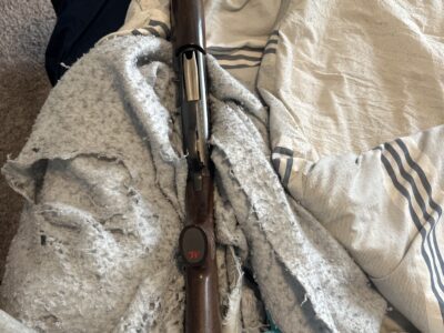 Winchester sx3 12 gauge