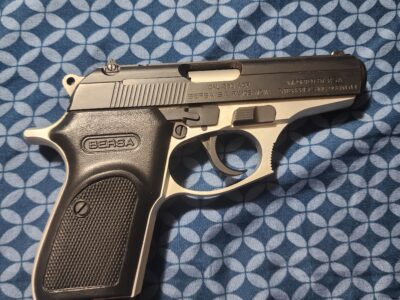 Bersa thunder 2 tone