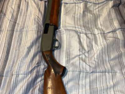 High standard pointer 12 gauge
