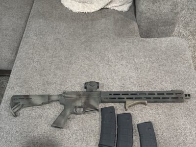 AR 15