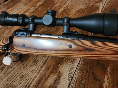 Savage 110 30-06 Boyds stock
