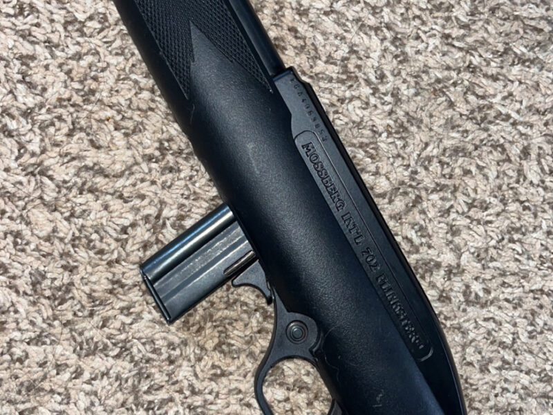 Mossberg model 702 plinkster