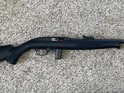 Mossberg model 702 plinkster