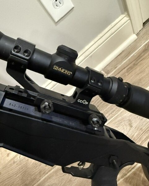 Ruger Precision 22 LR