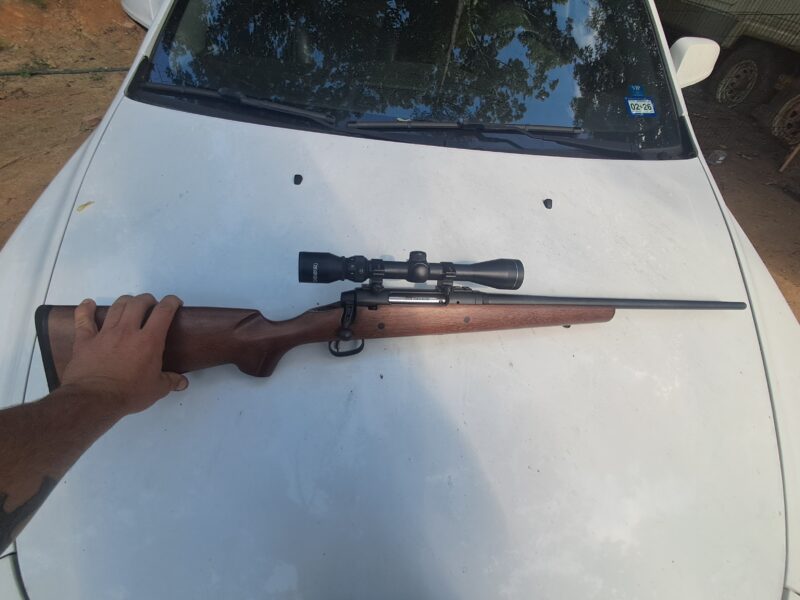 Savage 308
