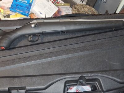 Ruger American Stainless in 308win
