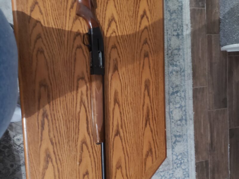 Winchester Model 50 12ga semi-auto.
