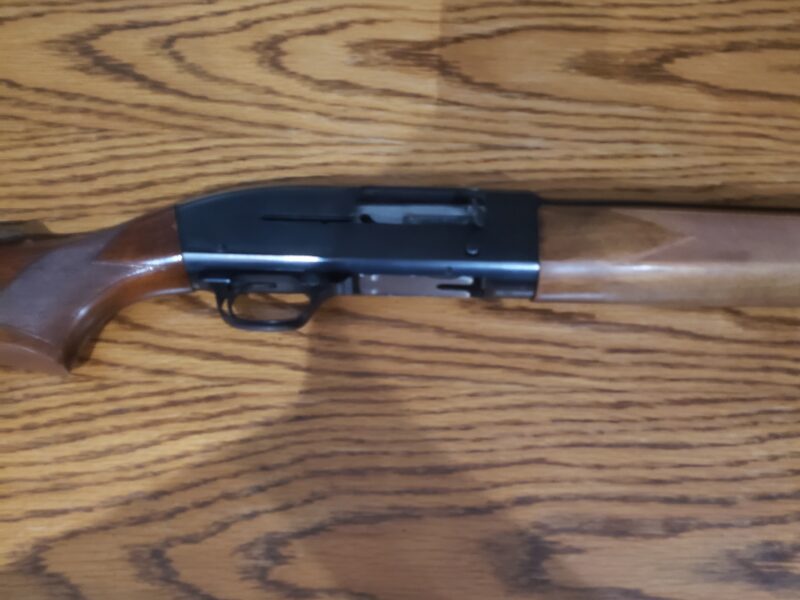 Winchester Model 50 12ga semi-auto.