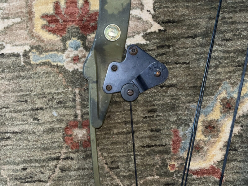 Vintage Bear Whitetail Hunter Compound Bow 39 Inch