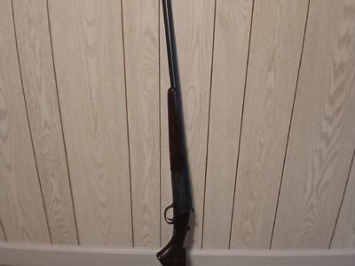 Springfield 94b 12 ga