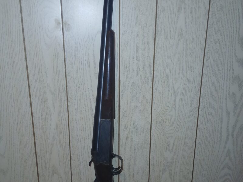 Springfield 94b 12 ga