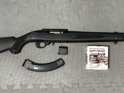 Ruger 10/22