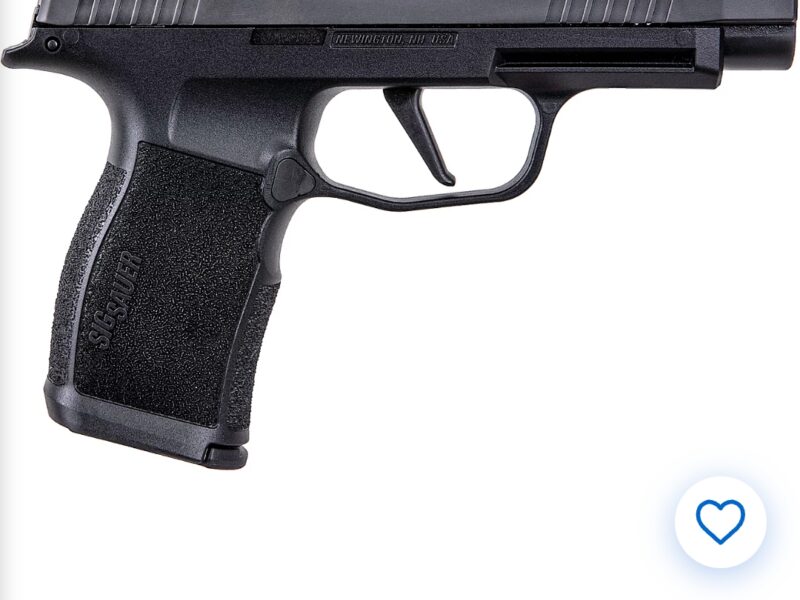 Sig Sauer p365 xl