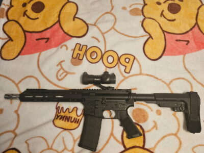 Bear creek ar 15