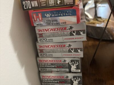 .270 ammo