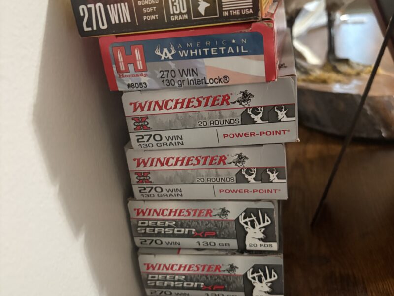 .270 ammo