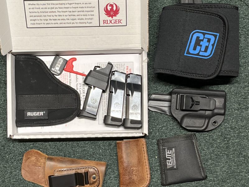 Ruger LCP Max 380