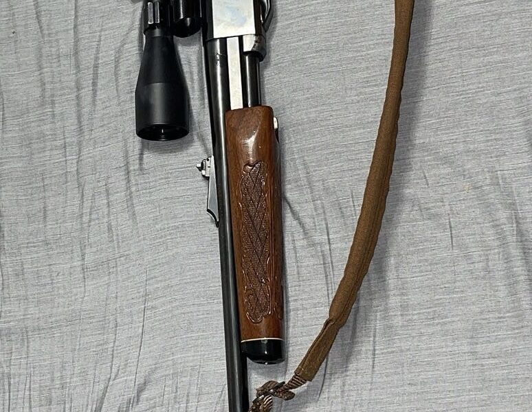 Remington 760
