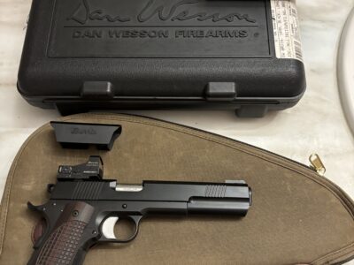 Dan Wesson 10 mm Bruin With Burris Fast Fire Red Dot
