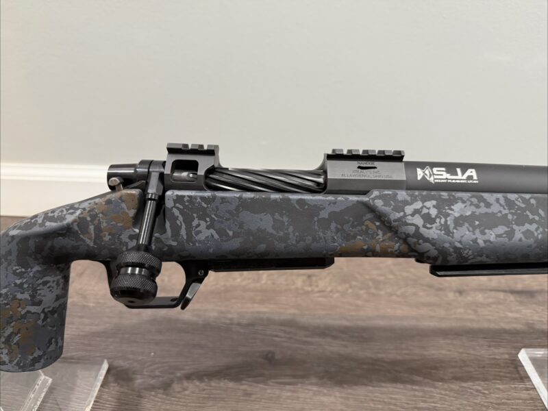 Custom 22 ARC Rifle