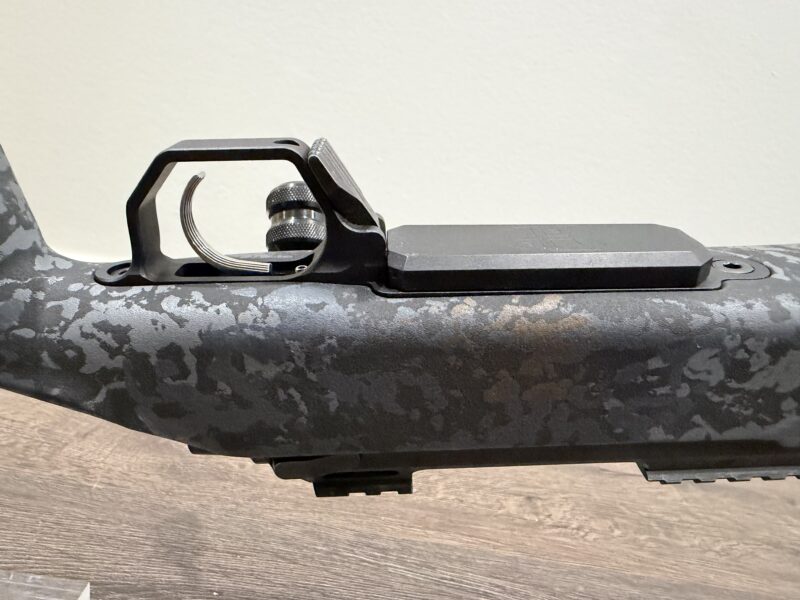 Custom 22 ARC Rifle