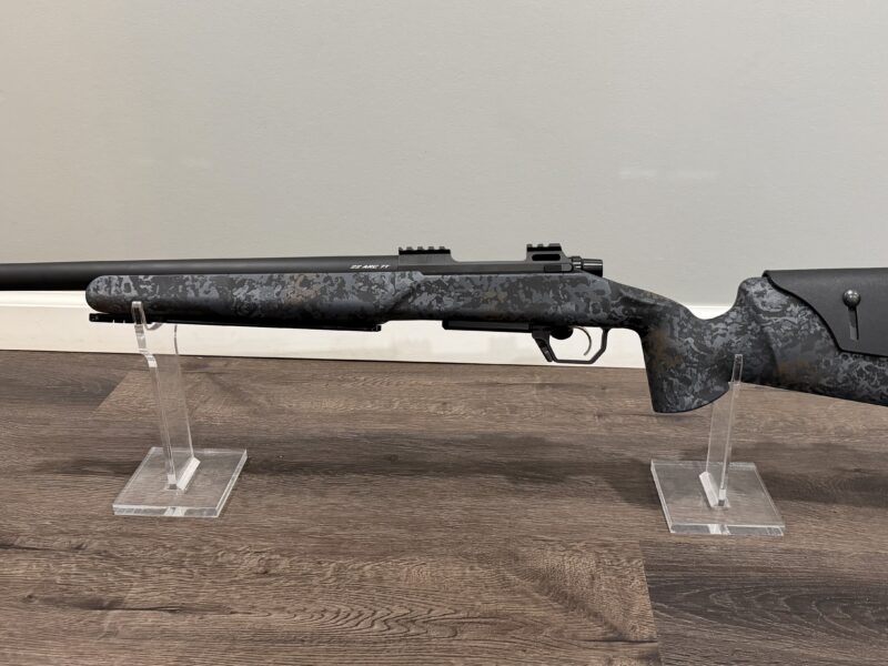 Custom 22 ARC Rifle