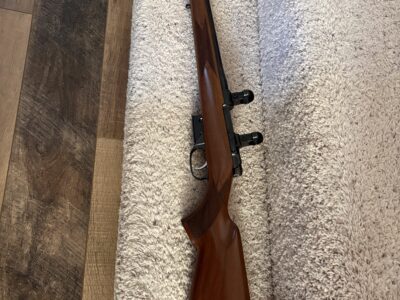 CZ 527 - 17 Hornet