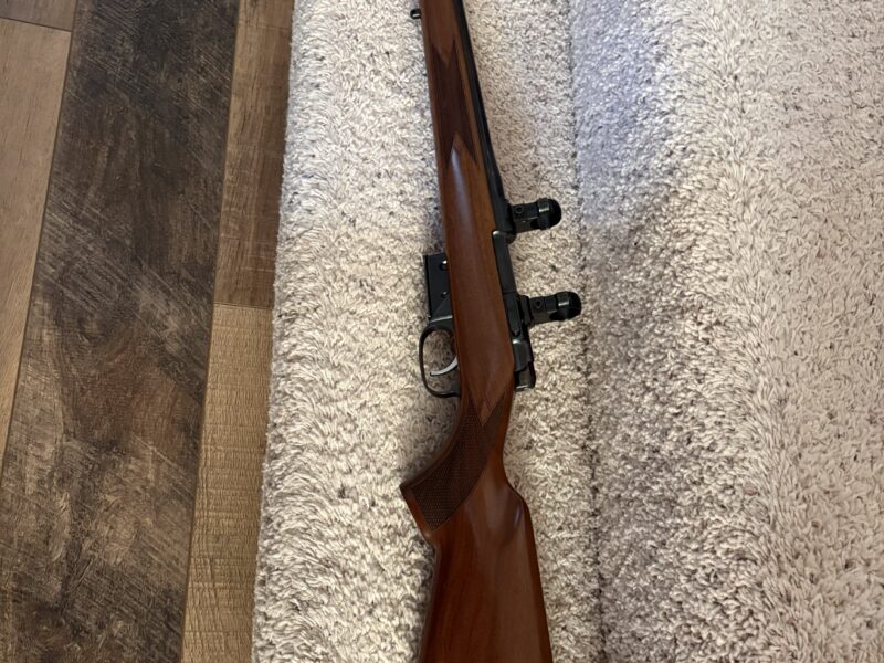 CZ 527 - 17 Hornet