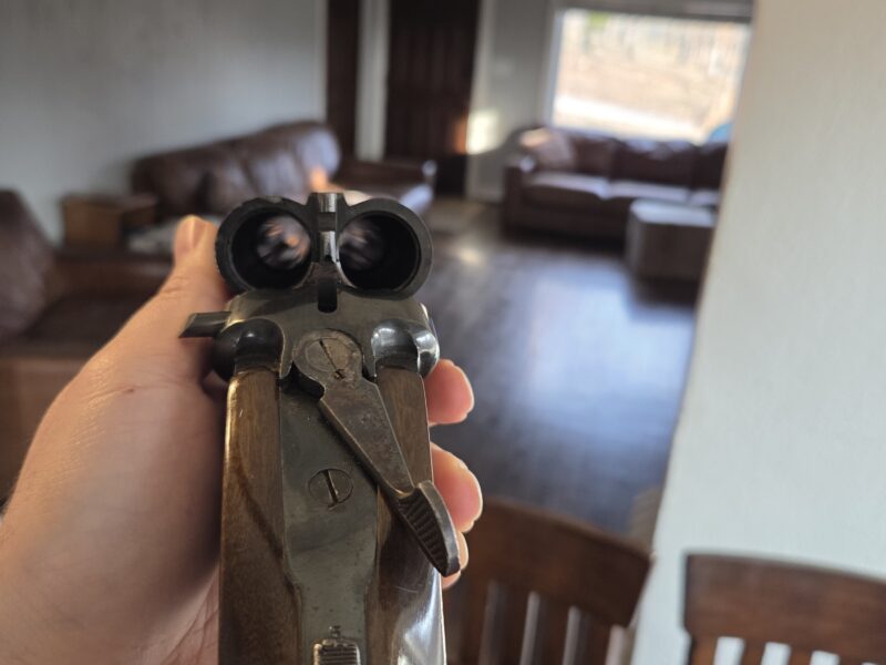 Amedeo Rossi 12 gauge side by side