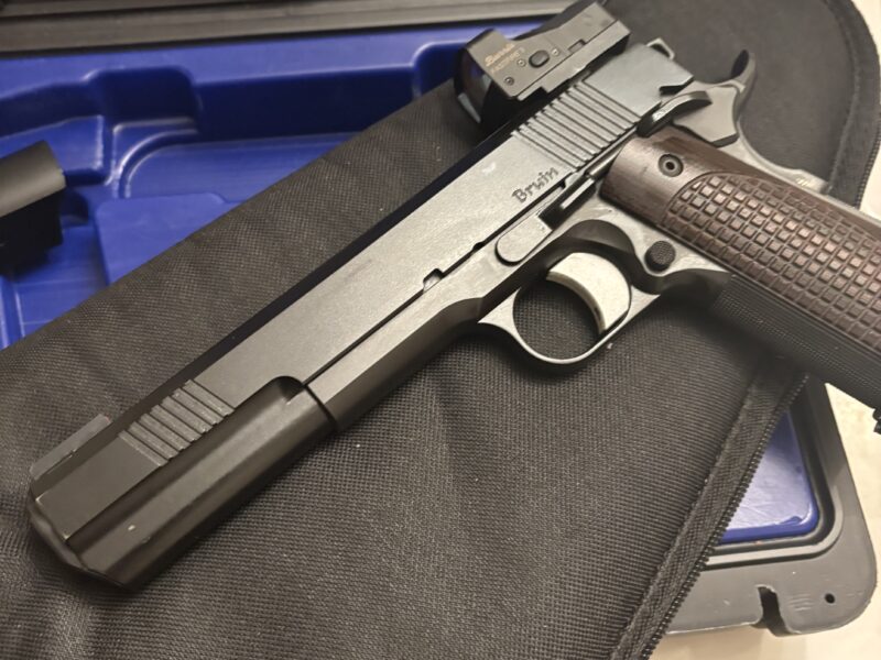 Dan Wesson 10mm bruin with 🔴