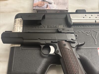 Mint condition Dan Wesson 10 mm bruin with Burris 🔴