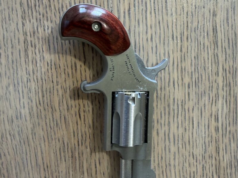 NAA .22LR