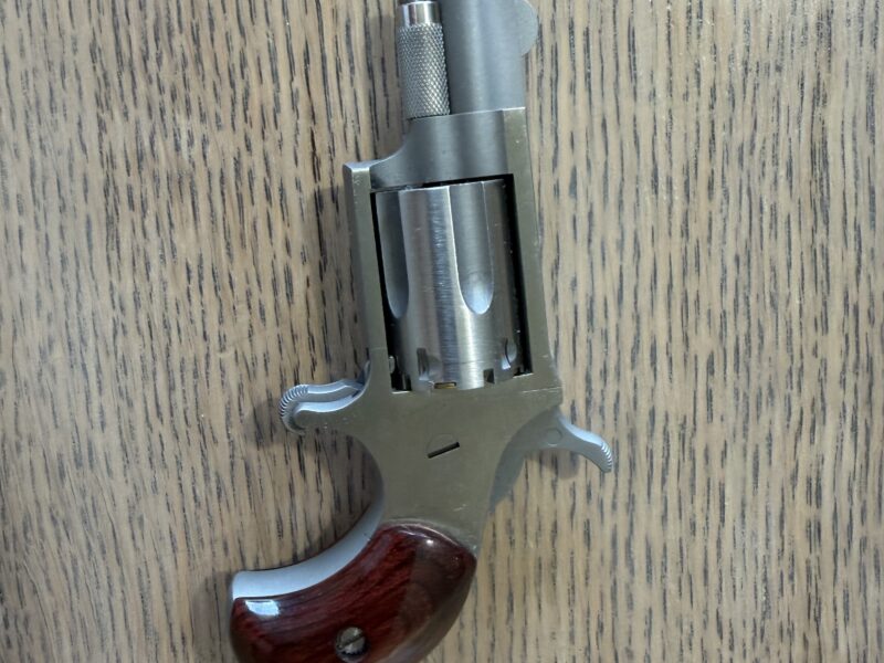 NAA .22LR