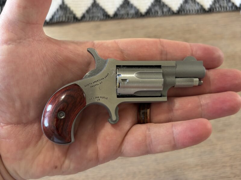 NAA .22LR