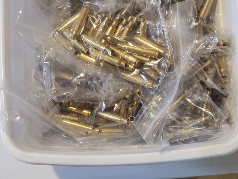 .223 brass